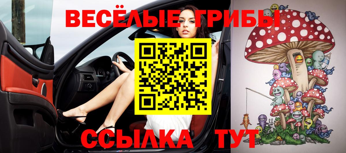 Соль-Илецк  Галлюциногенные грибы прущие грибы  Вход с VPN 